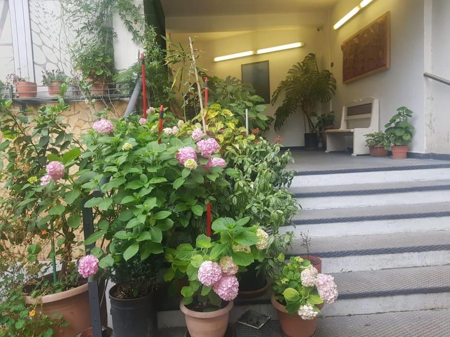 Pazari_Ri_Studio Apartment Тирана Екстериор снимка