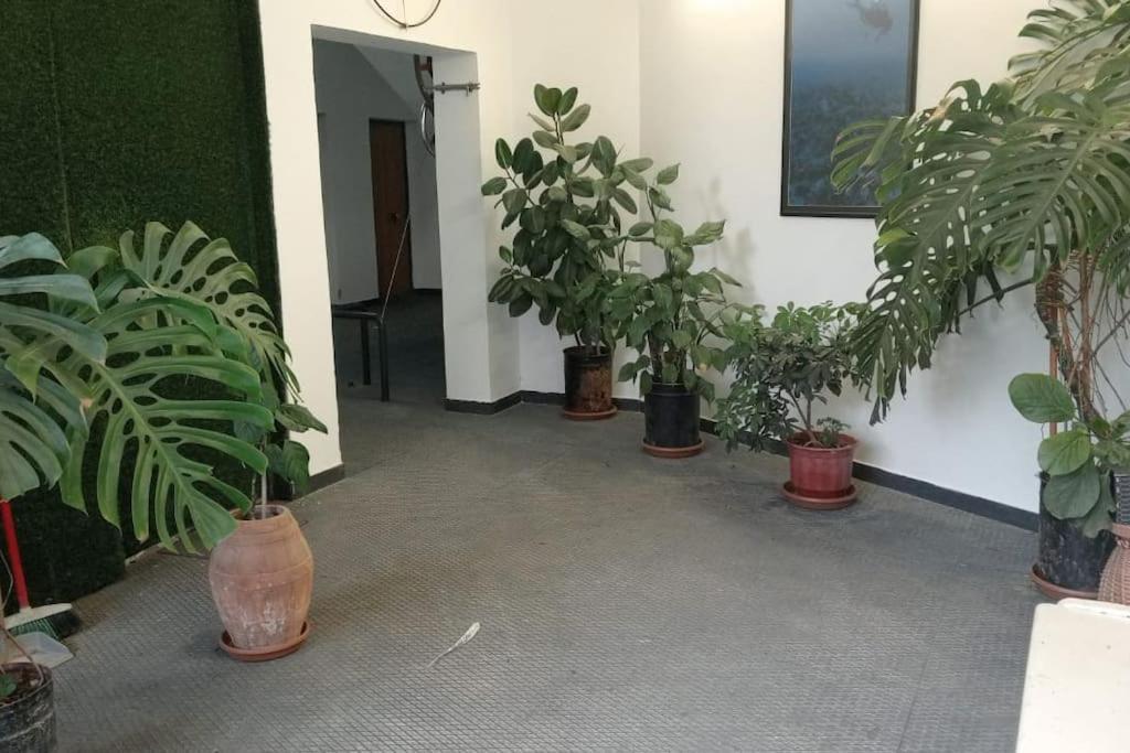 Pazari_Ri_Studio Apartment Тирана Екстериор снимка