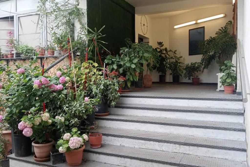 Pazari_Ri_Studio Apartment Тирана Екстериор снимка